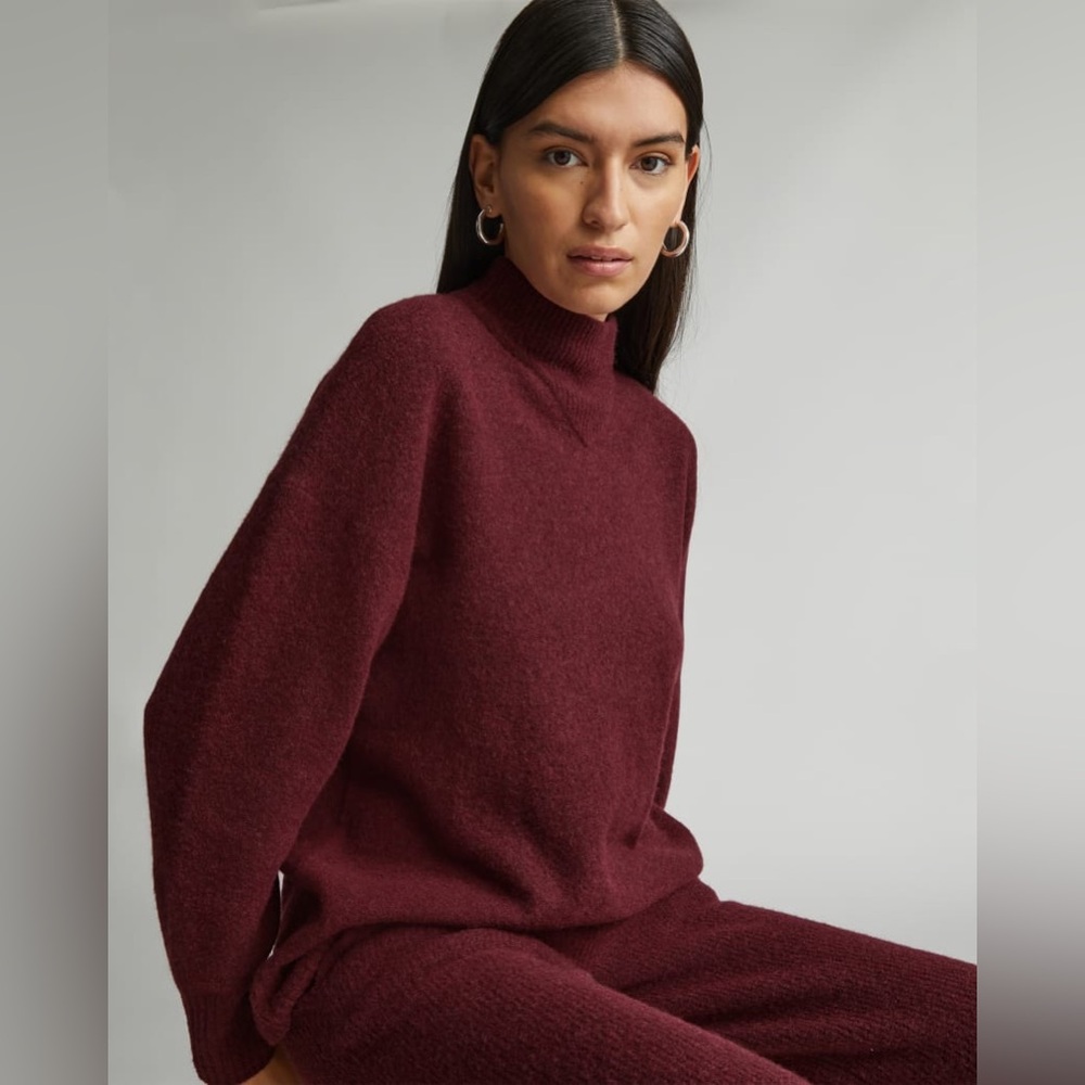NWT Everlane The Cozy-Stretch Pullover